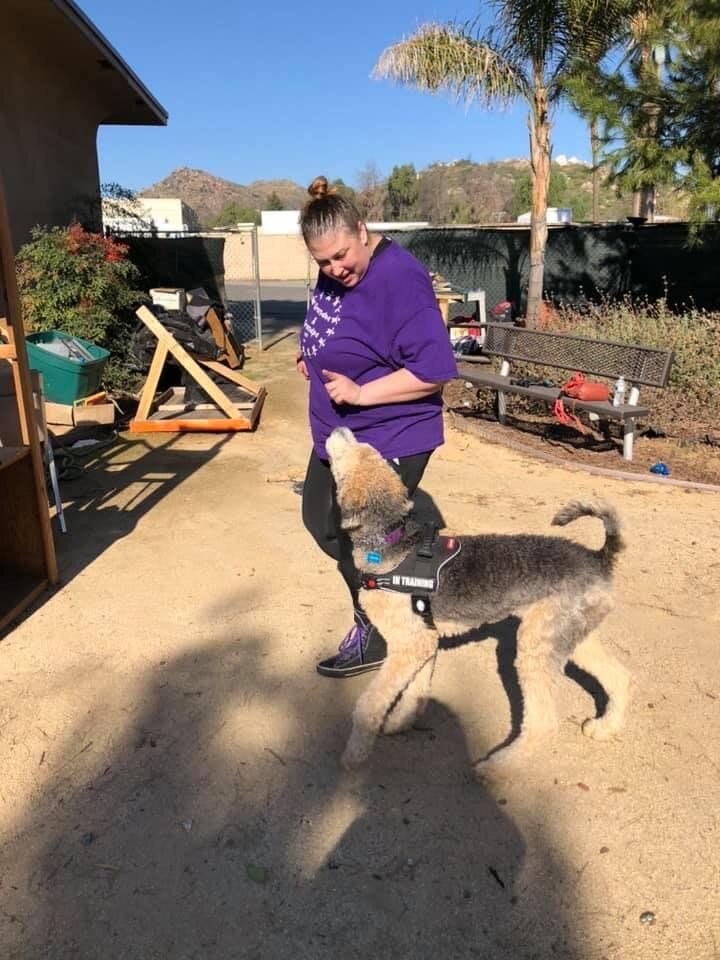 Puppy Behavior